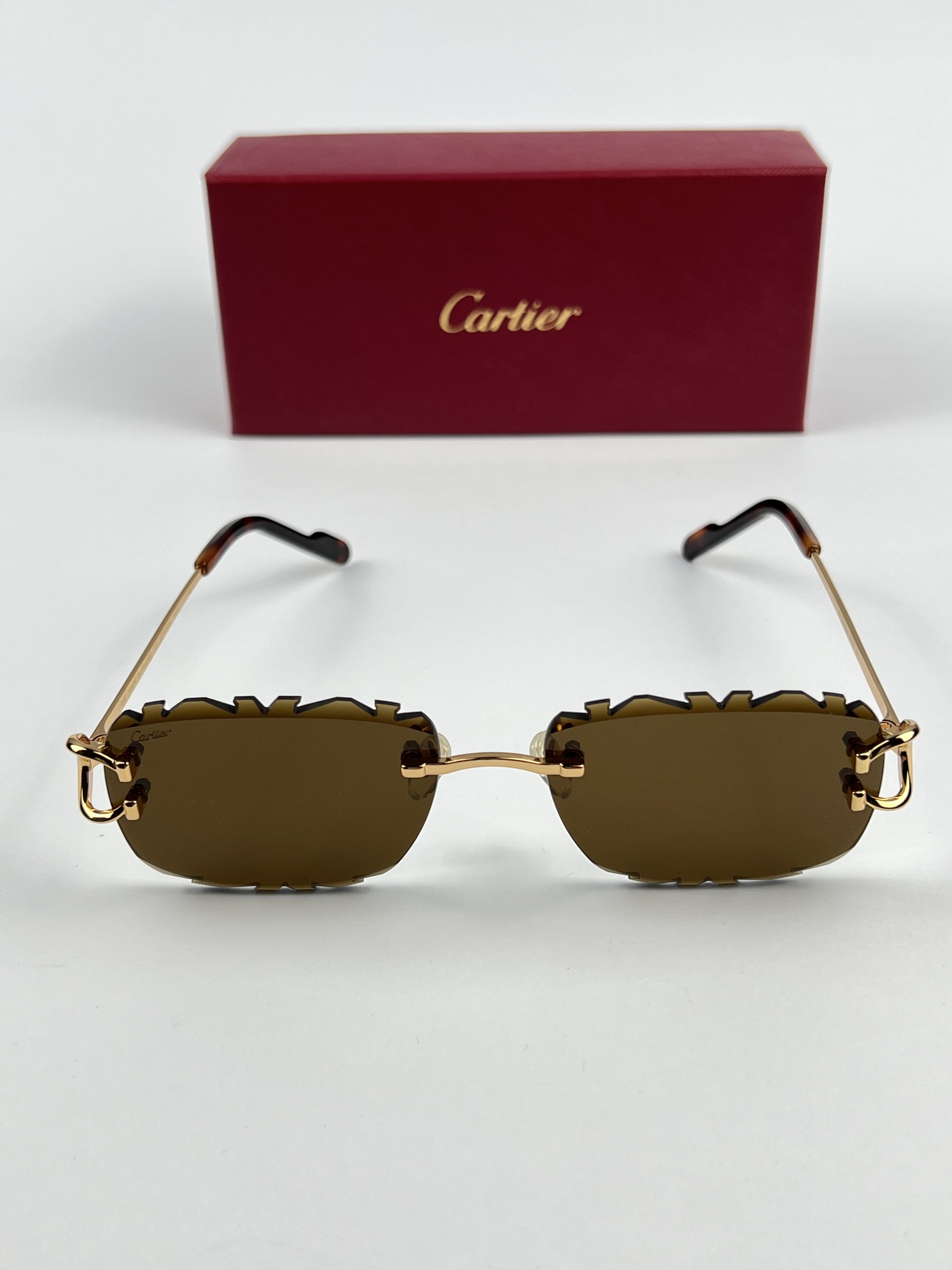CARTIER MODEL CT0595S SUNGLASSES عینک آفتابی کارتیه مدل CT0595S